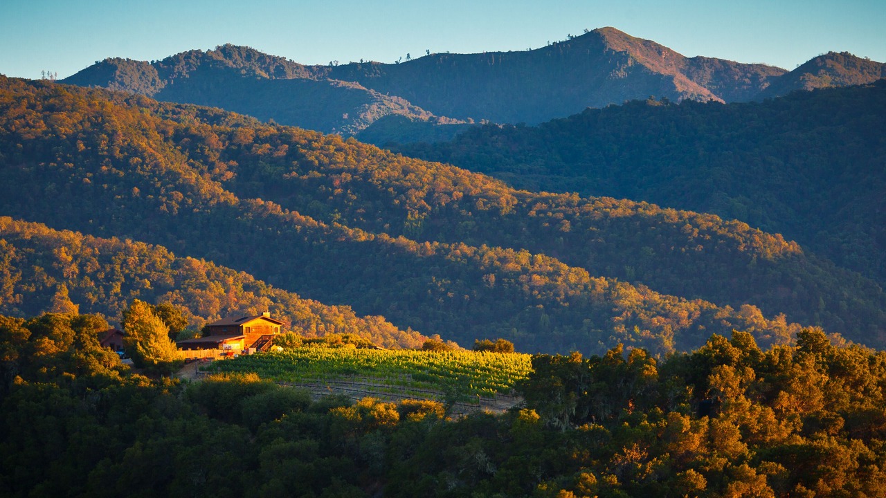 Photo of Outdoor in Carmel Valley