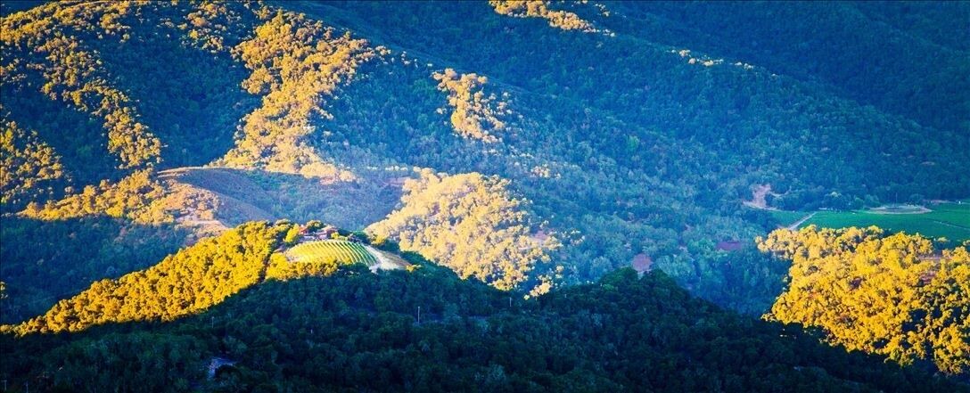 Photo of Others in Carmel Valley