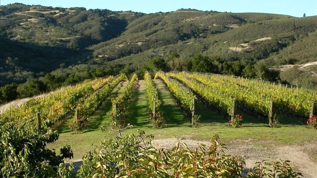 Photo of Outdoor in Carmel Valley