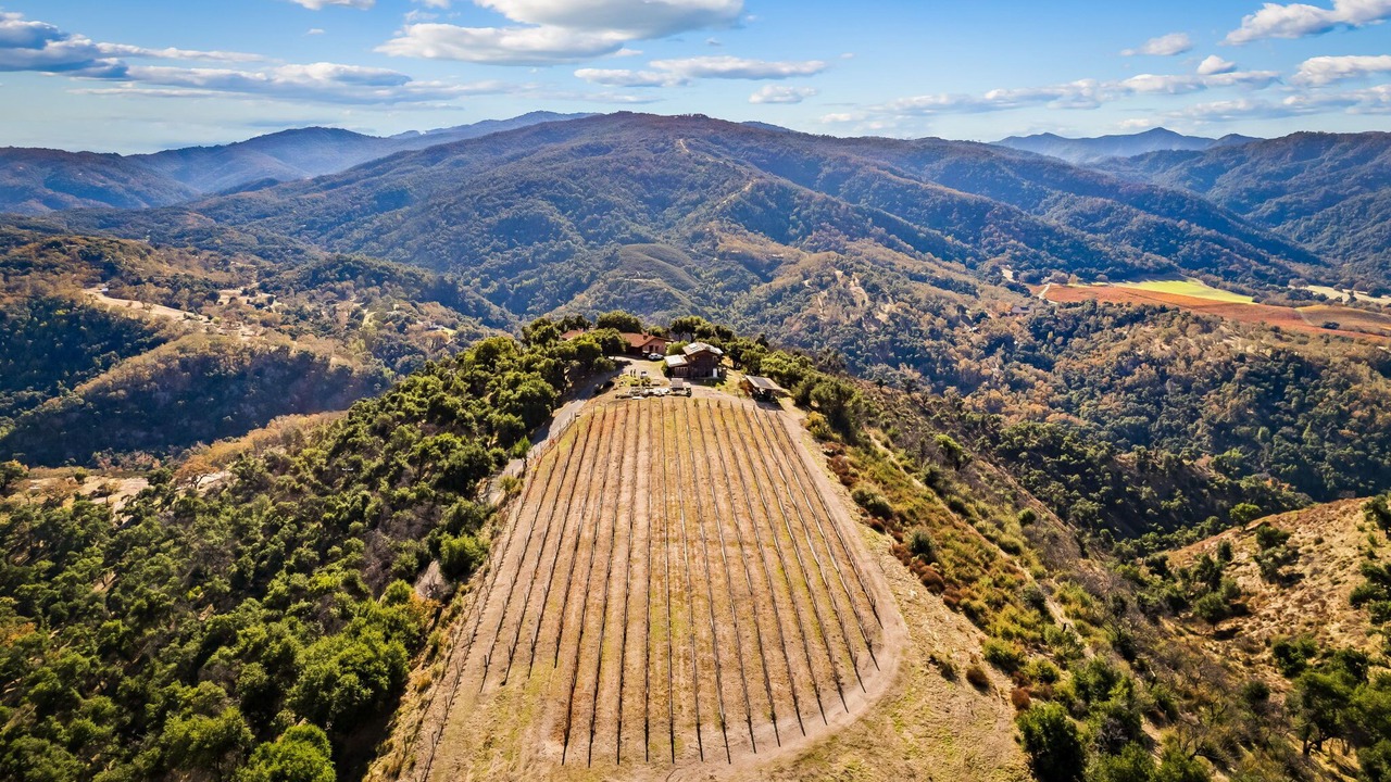 Photo of Others in Carmel Valley