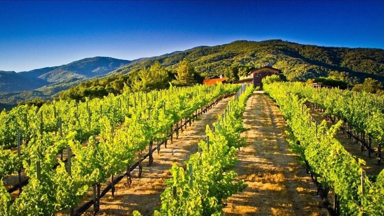 Photo of Outdoor in Carmel Valley