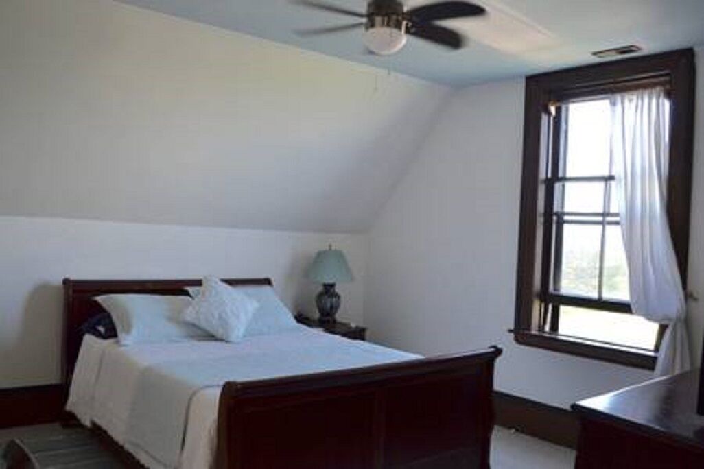 Photo of Others in Hamilton