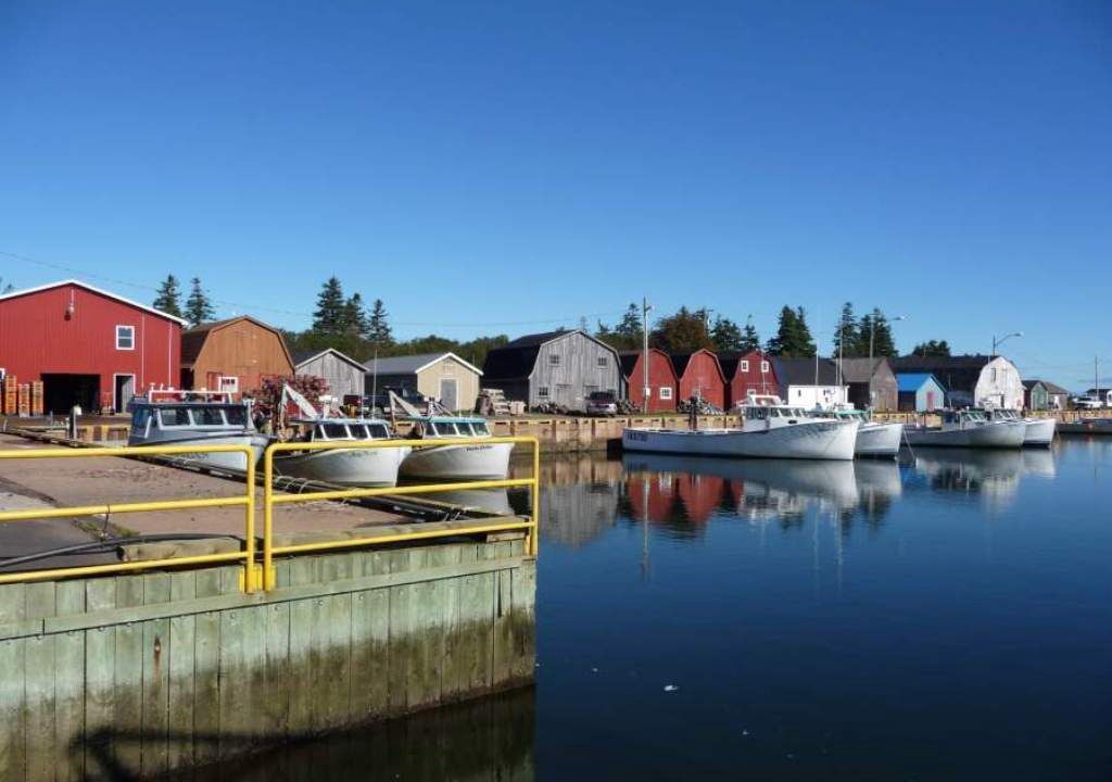 Photo of Outdoor in Hamilton