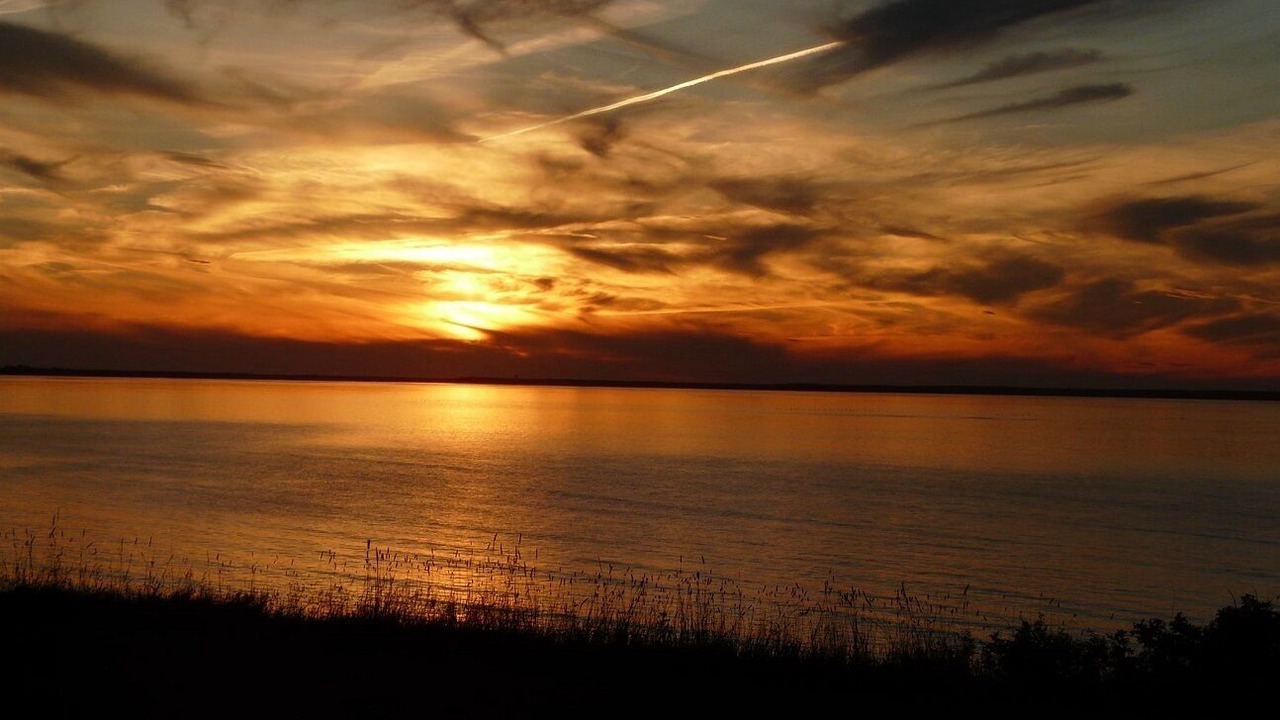 Photo of Others in Hamilton