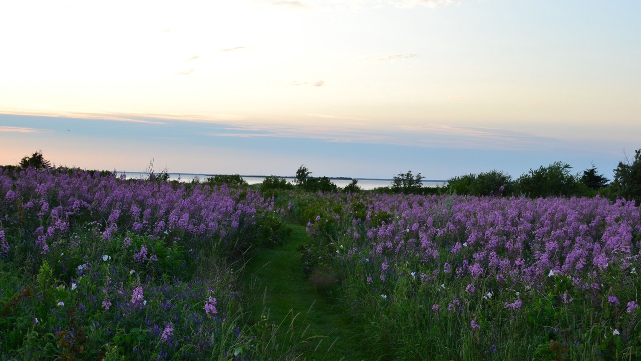 Photo of Outdoor in Hamilton