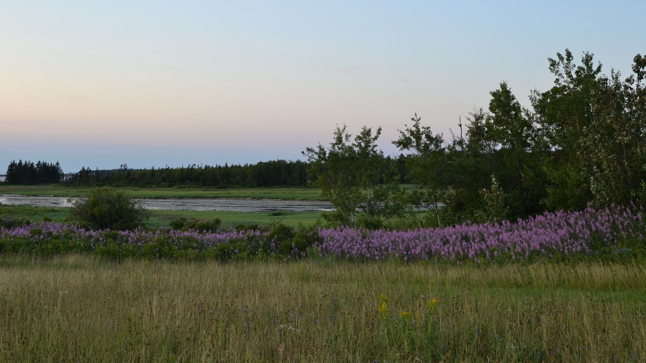 Photo of Outdoor in Hamilton
