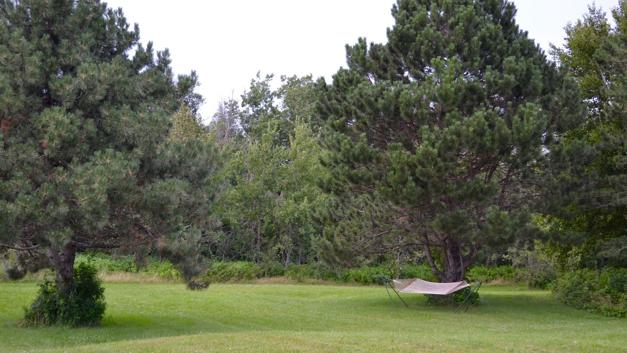 Photo of Others in Hamilton