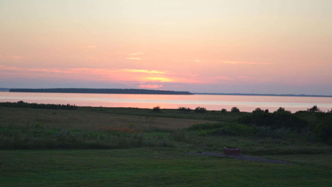 Photo of Others in Hamilton