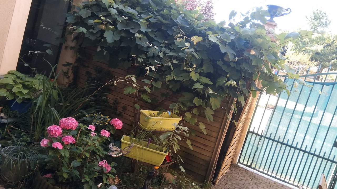 Photo of Buildings in Pays-de-Belves