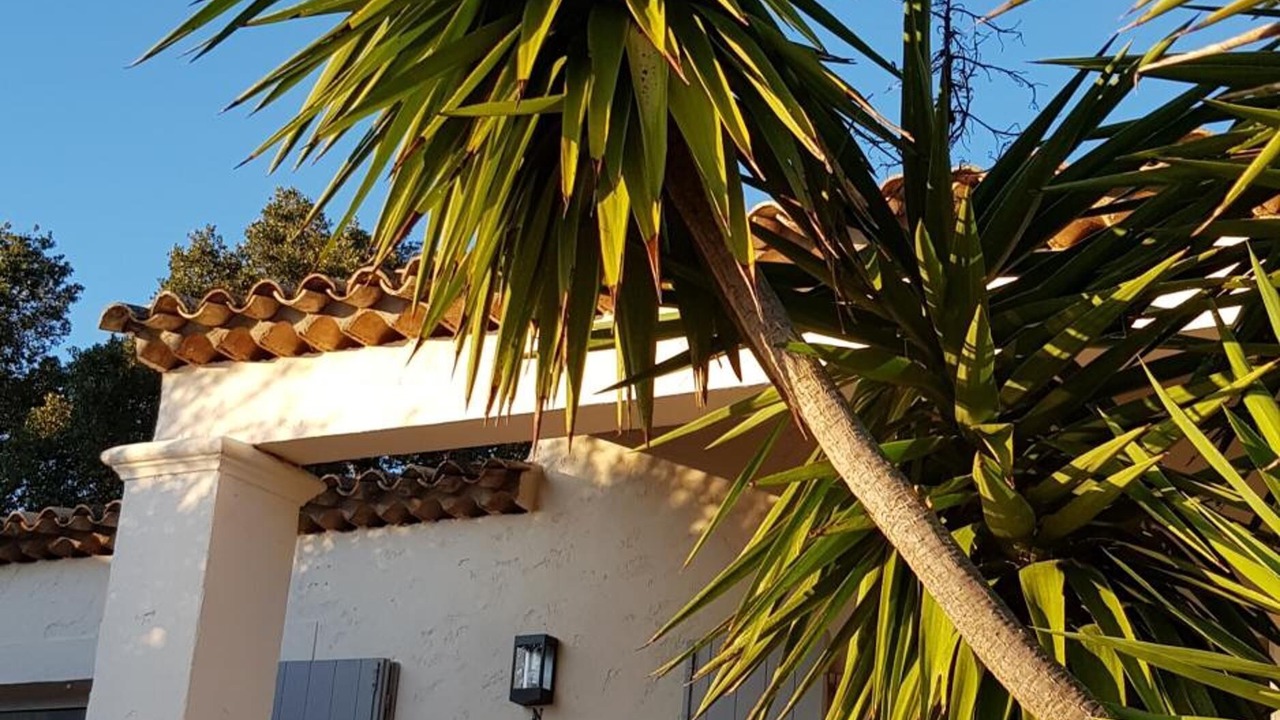 Photo of Outdoor in Grimaud