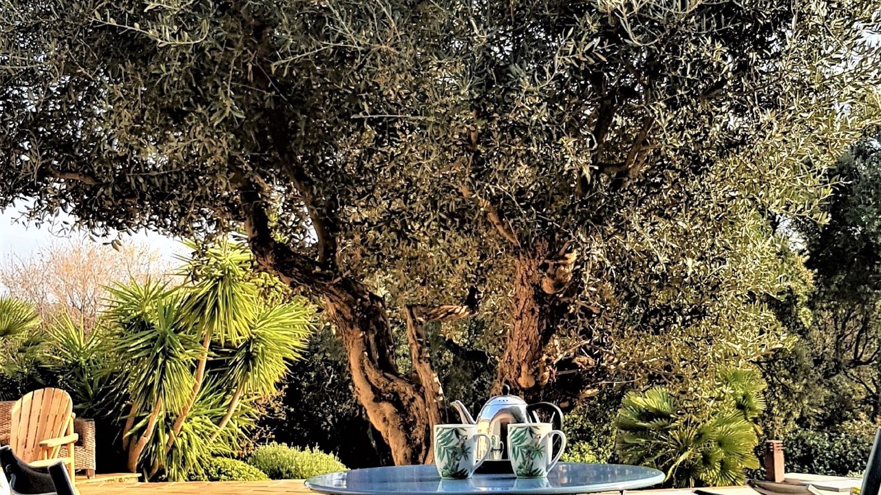 Photo of Outdoor in Grimaud