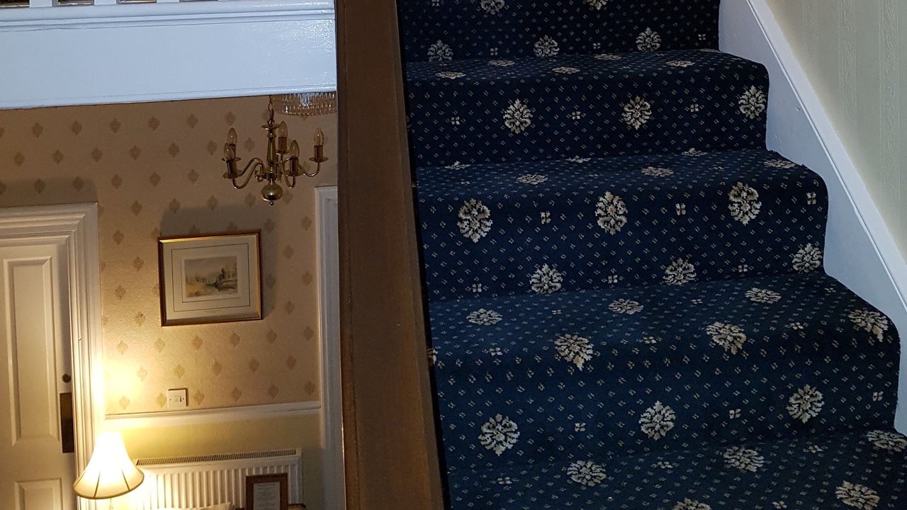 Photo of Others in West Cliff