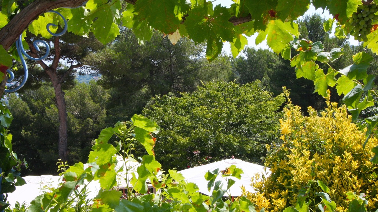 Photo of Outdoor in California - Pezou