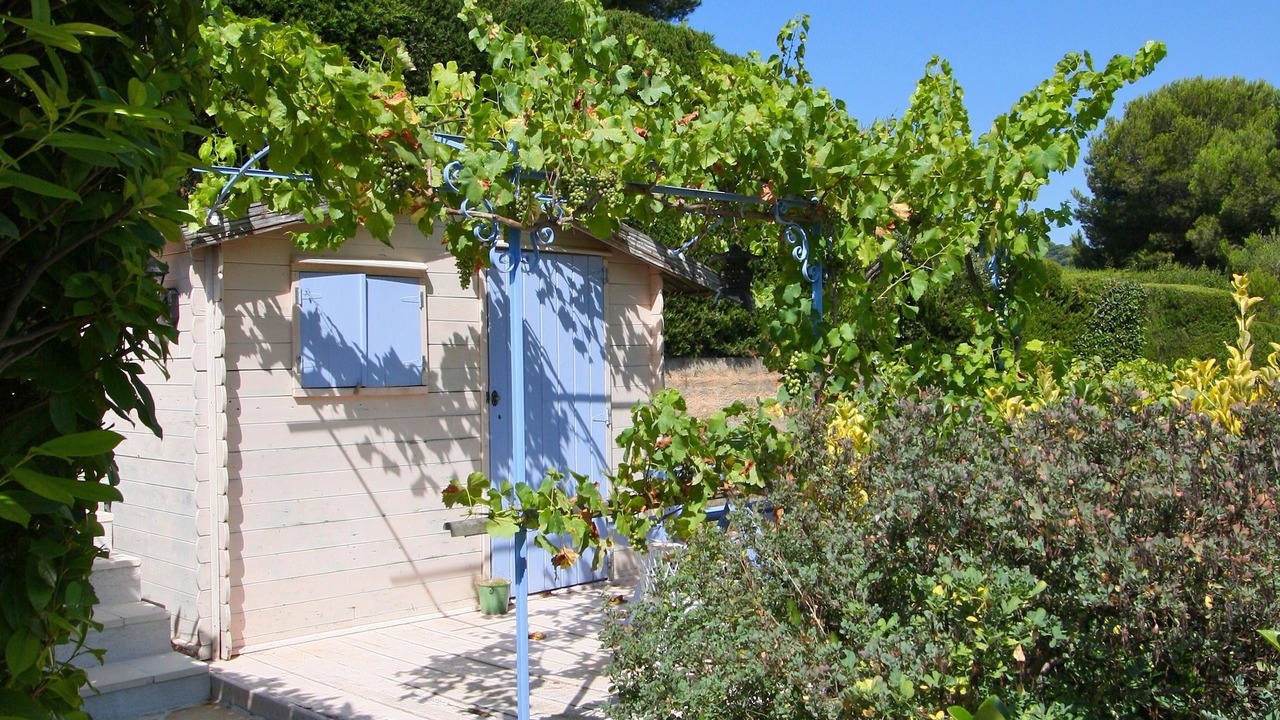 Photo of Outdoor in California - Pezou