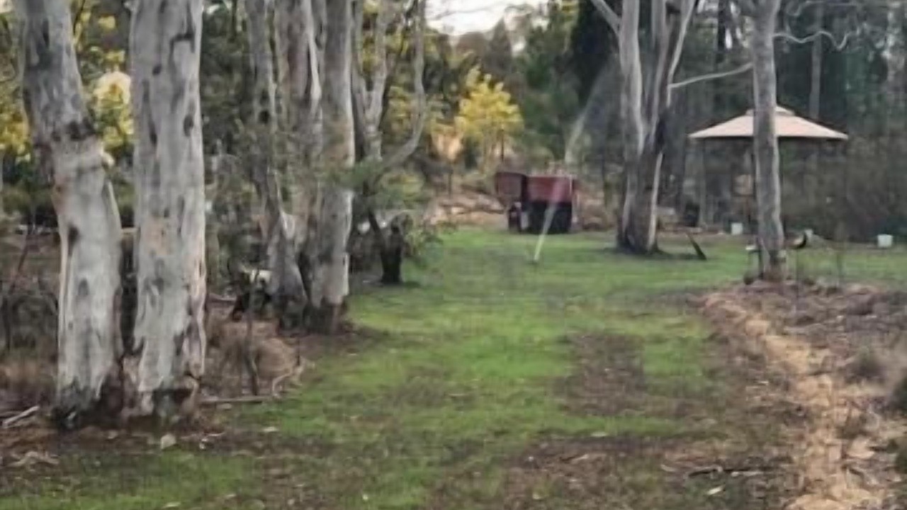 Photo of Outdoor in Hill End