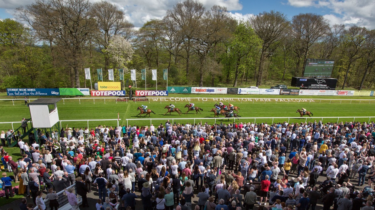 Photo of Others in Hamilton