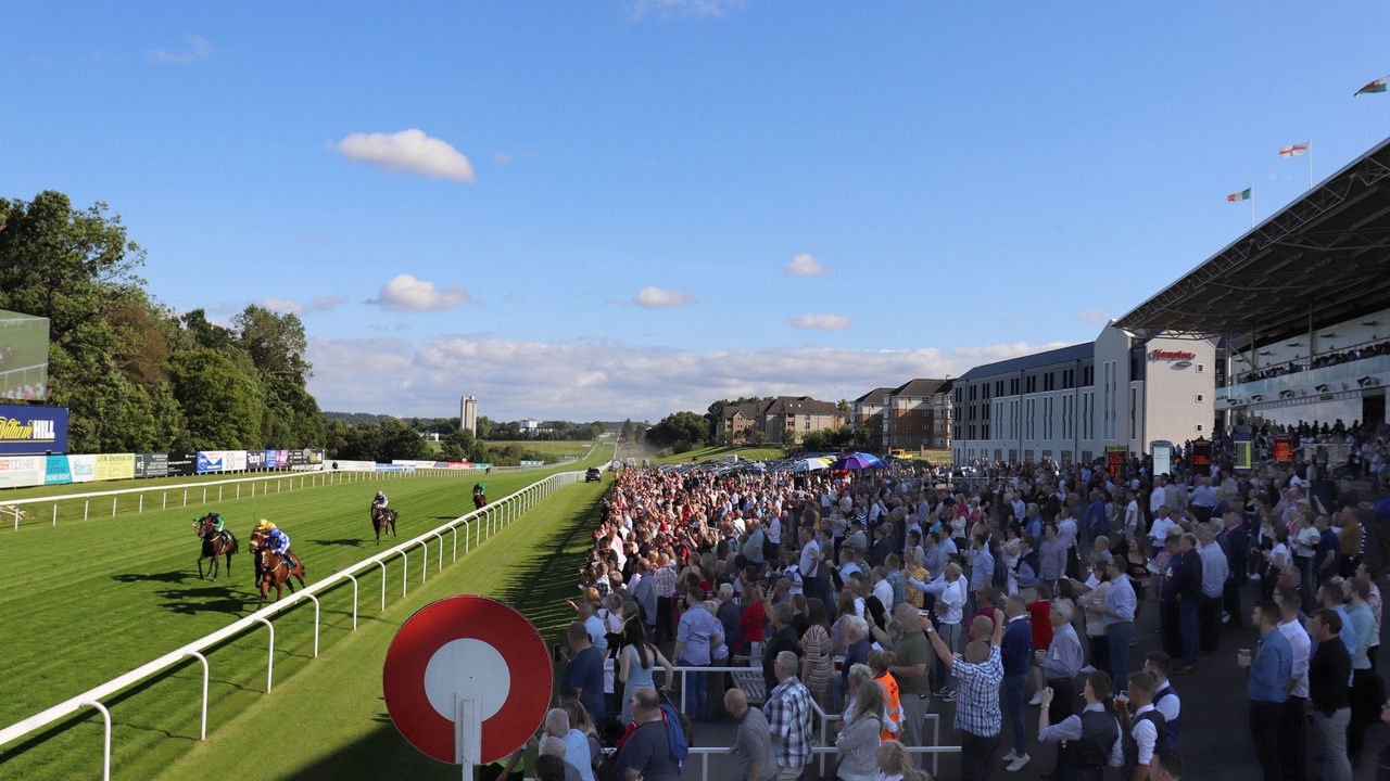 Photo of Others in Hamilton