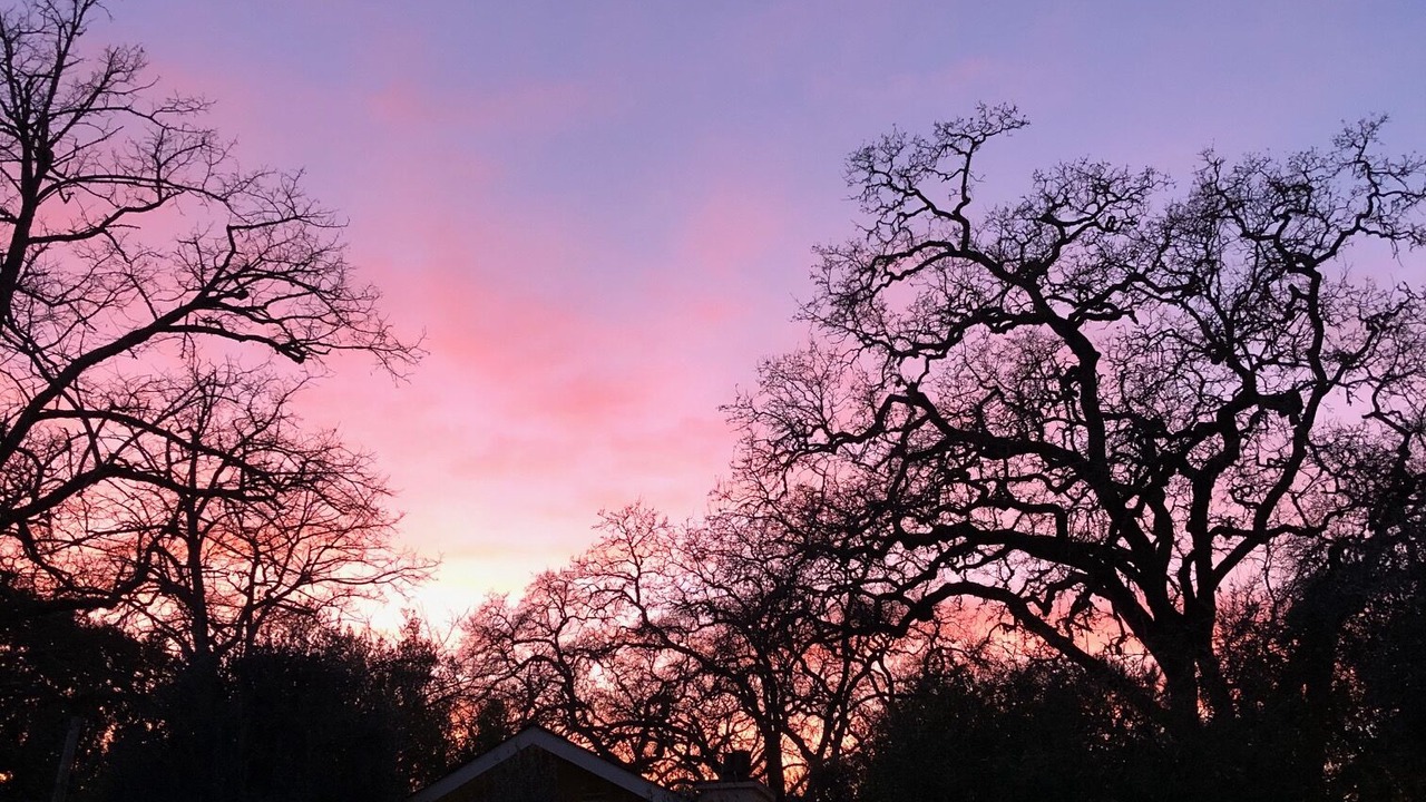 Photo of Outdoor in Glen Ellen