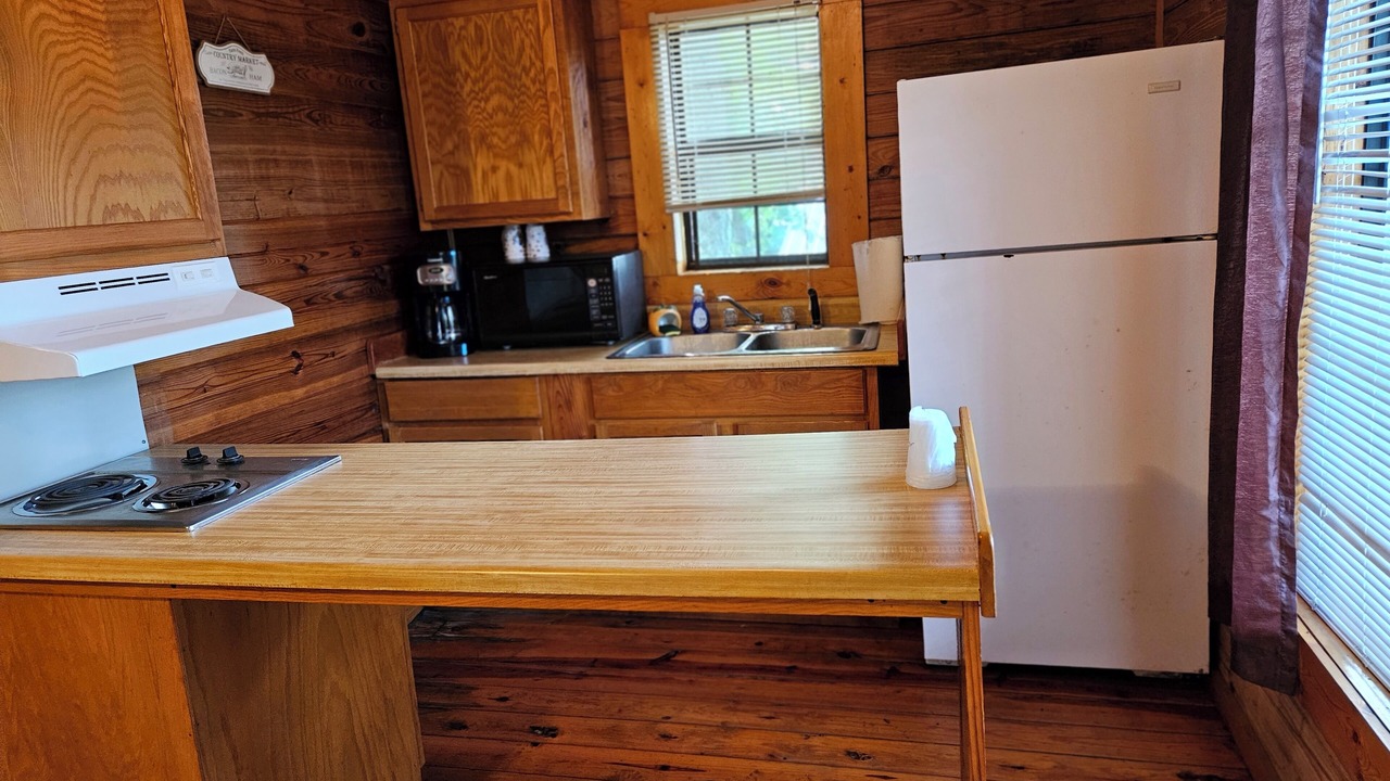 Photo of Others in Mammoth Spring