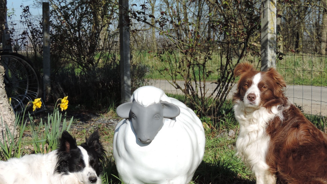 Photo of Outdoor in Blaison-Saint-Sulpice