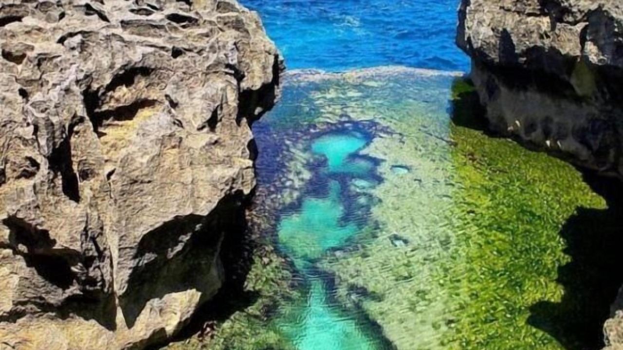 Photo of Others in Penida Island
