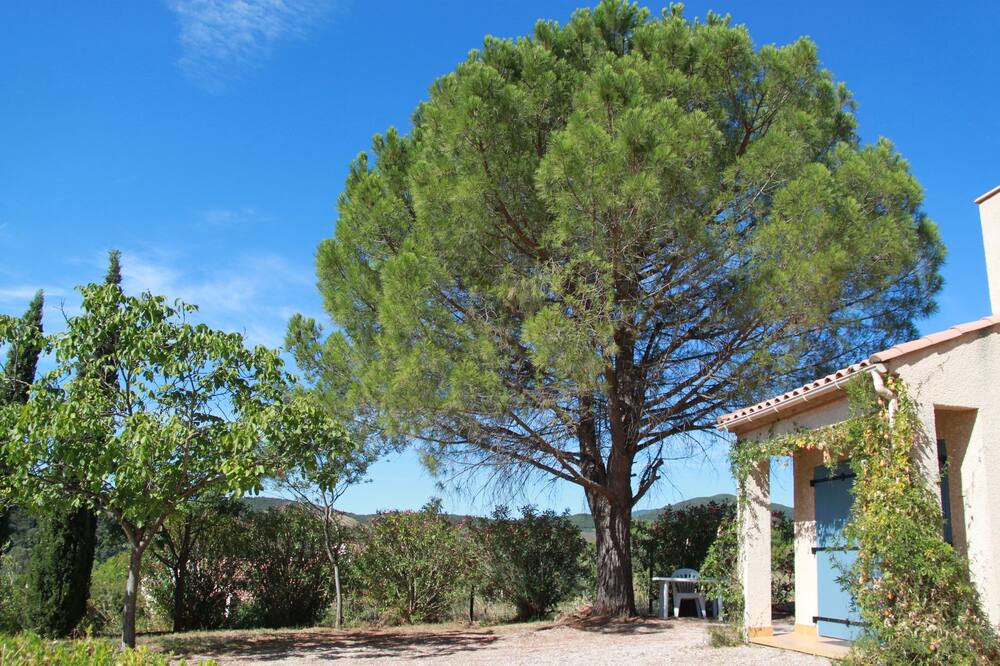 Photo of Outdoor in Roquebrun