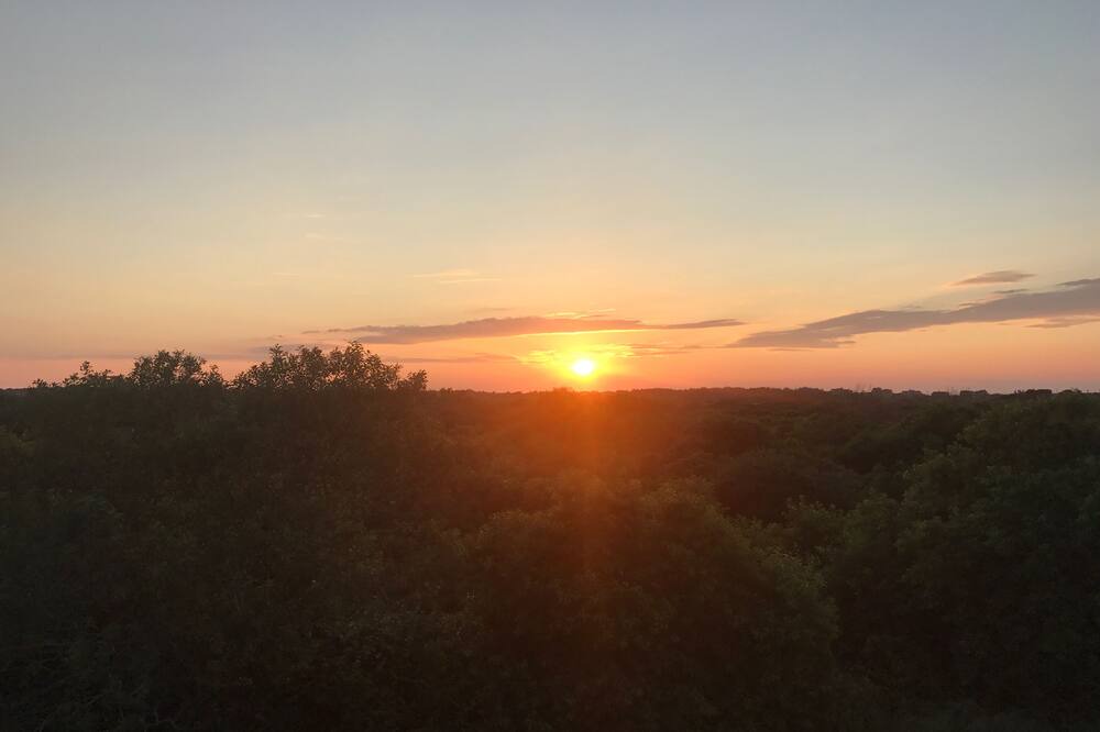 Photo of Others in Dionis