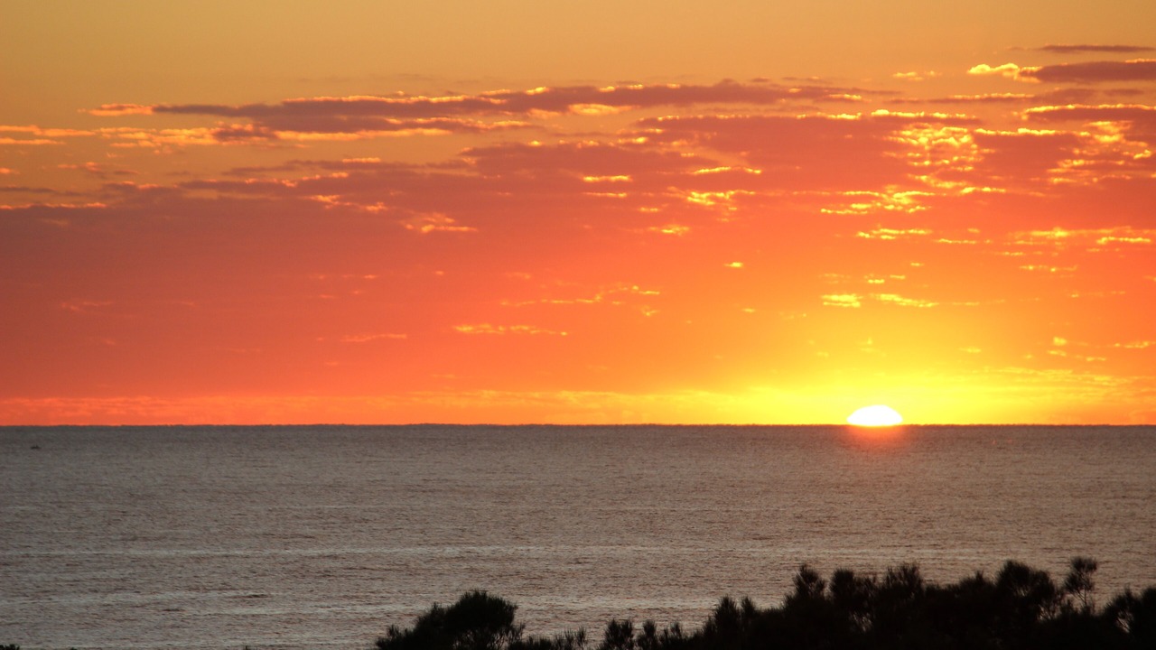 Photo of Others in Woolgoolga