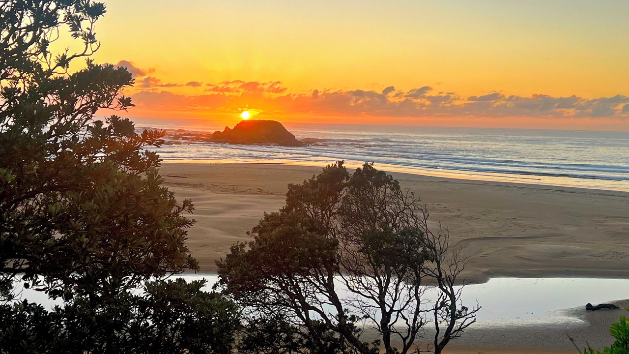 Photo of Others in Woolgoolga