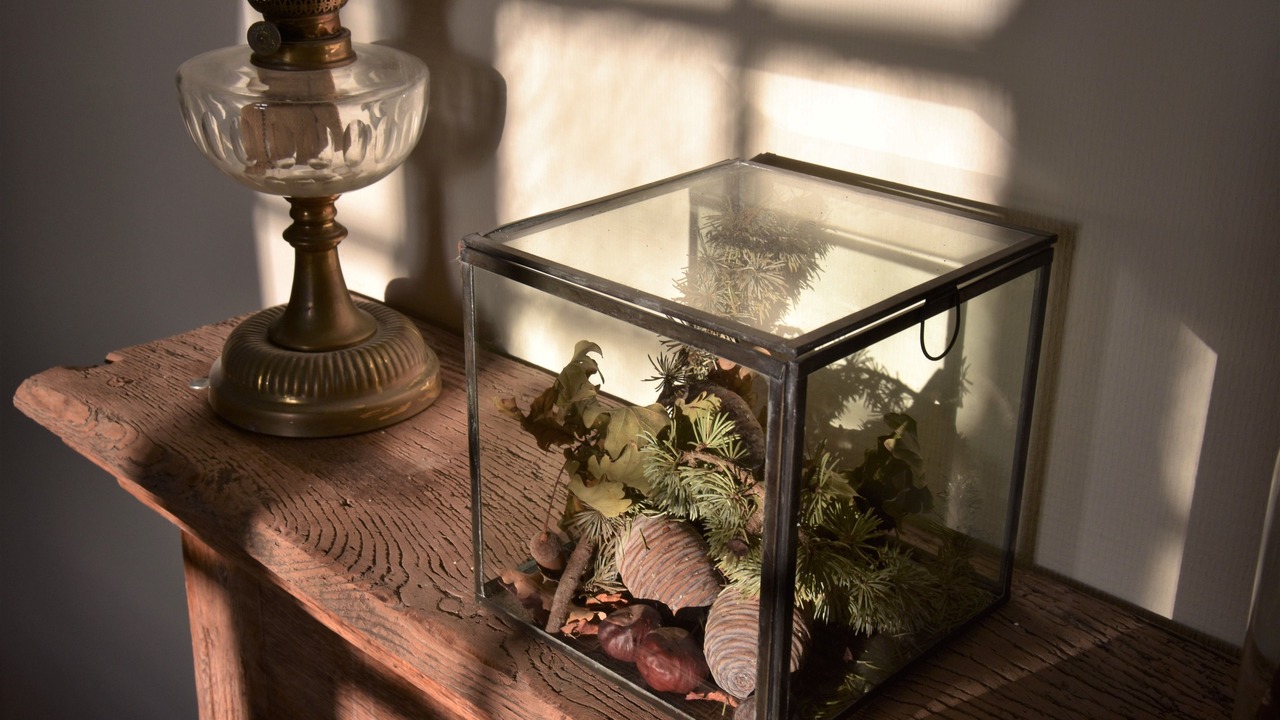 Photo of Outdoor in Monestier