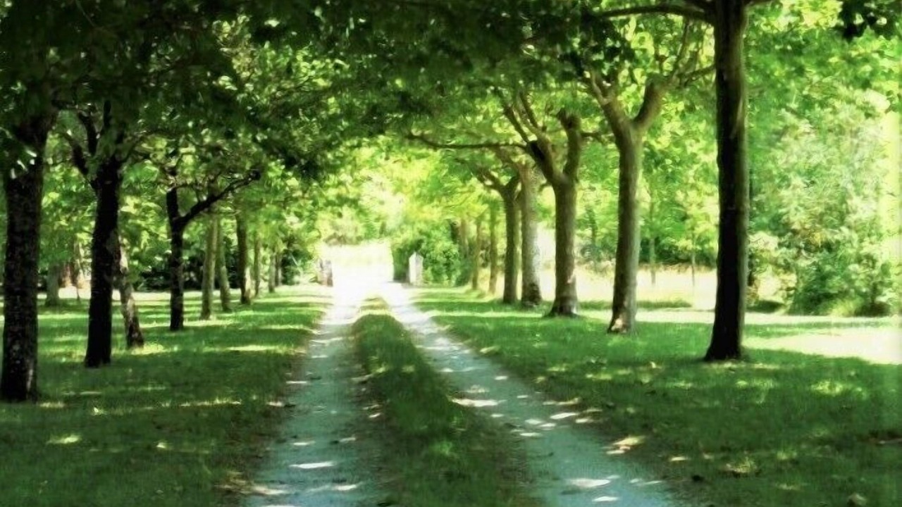 Photo of Outdoor in Monestier