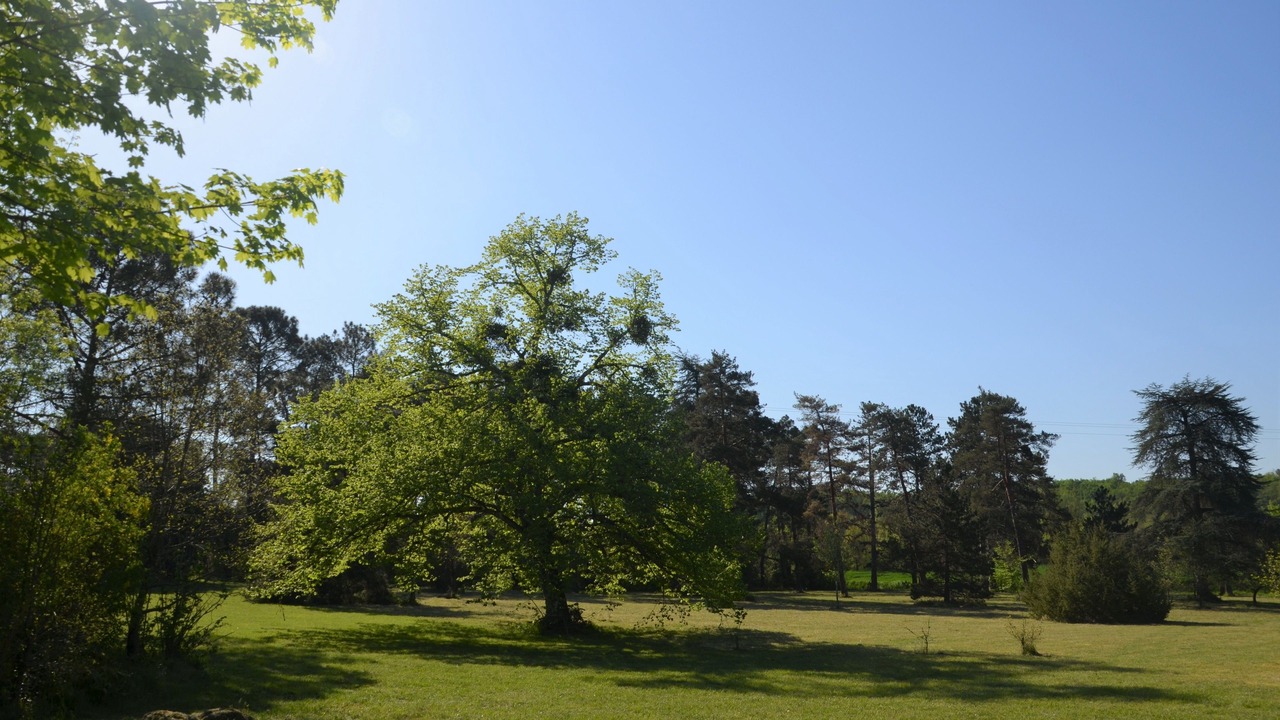 Photo of Outdoor in Monestier