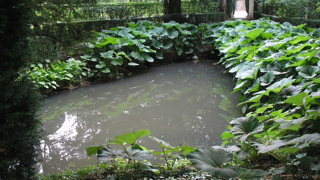 Photo of Others in Illiers-Combray