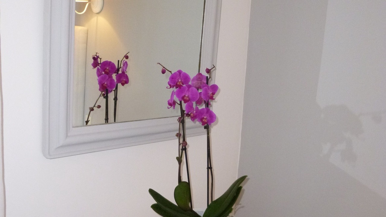 Photo of Outdoor in Illiers-Combray