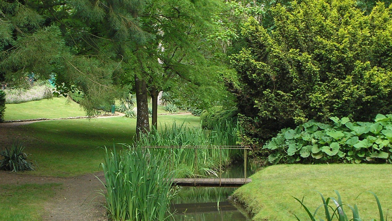 Photo of Others in Illiers-Combray