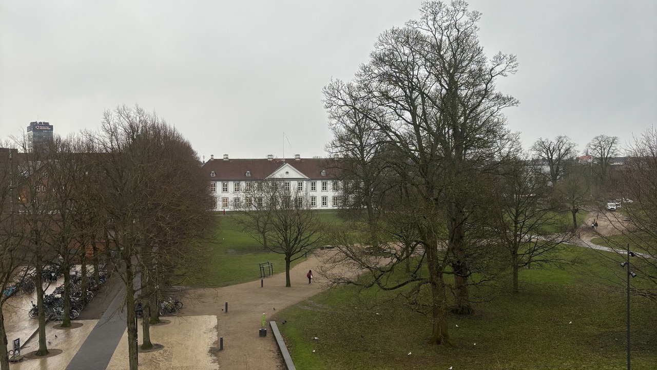 Photo of Others in Odense