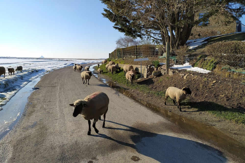 Photo of Others in Le Val-Saint-Pere