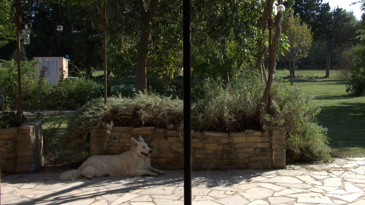 Photo of Patio Balcony in Barbentane