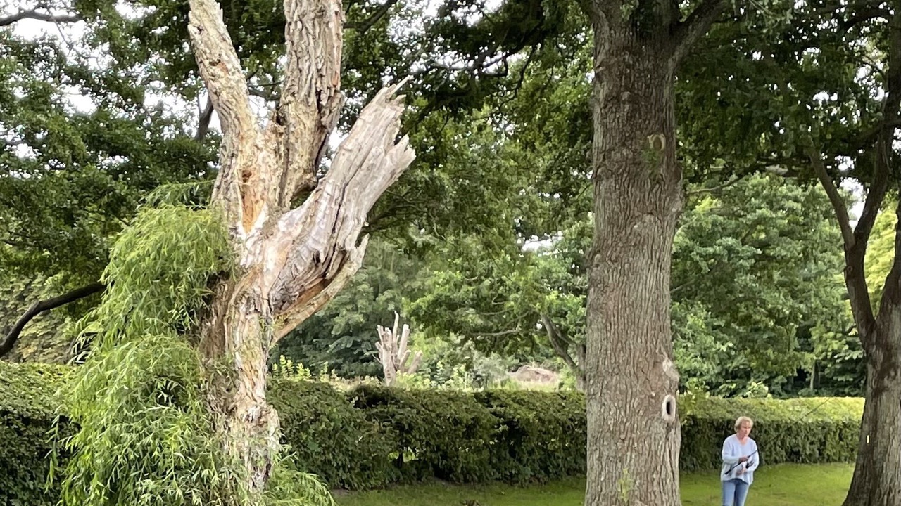 Photo of Outdoor in Hadsund
