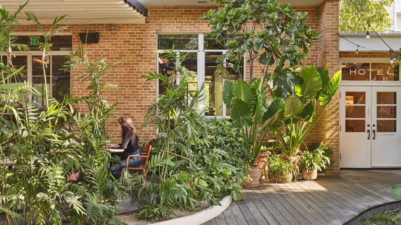 Photo of Outdoor in Barton Heights