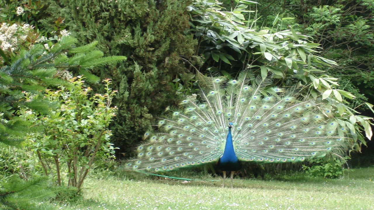 Photo of Outdoor in Saint-Florent-sur-Cher