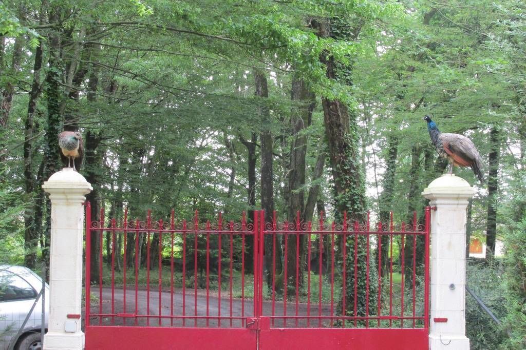 Photo of Outdoor in Saint-Florent-sur-Cher