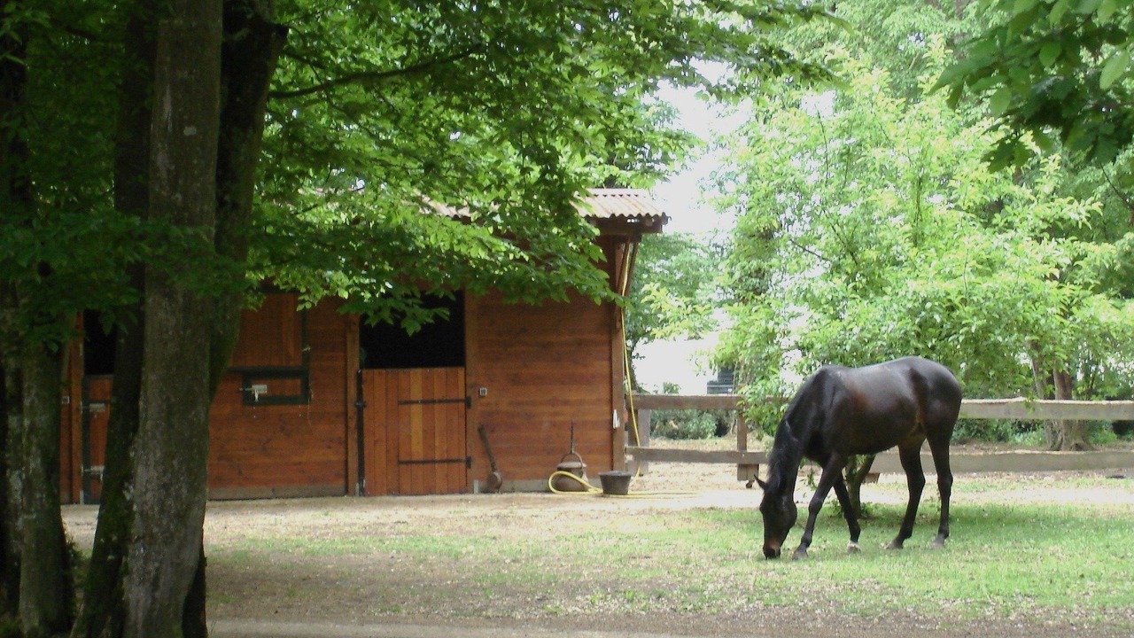 Photo of Outdoor in Saint-Florent-sur-Cher