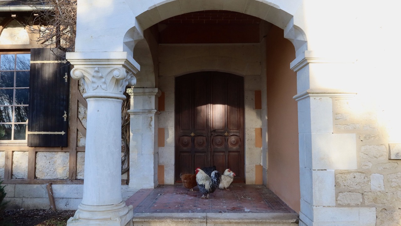 Photo of Outdoor in Saint-Florent-sur-Cher