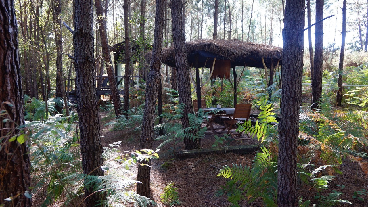 Photo of Outdoor in Origne