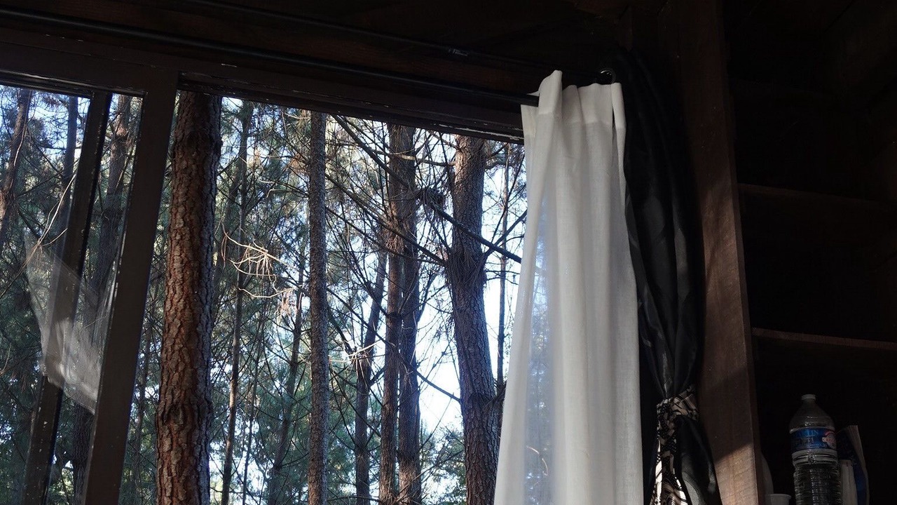 Photo of Others in Origne