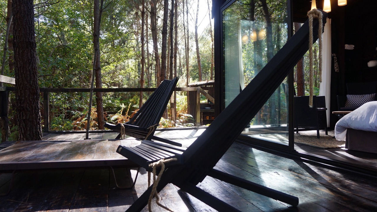 Photo of Others in Origne