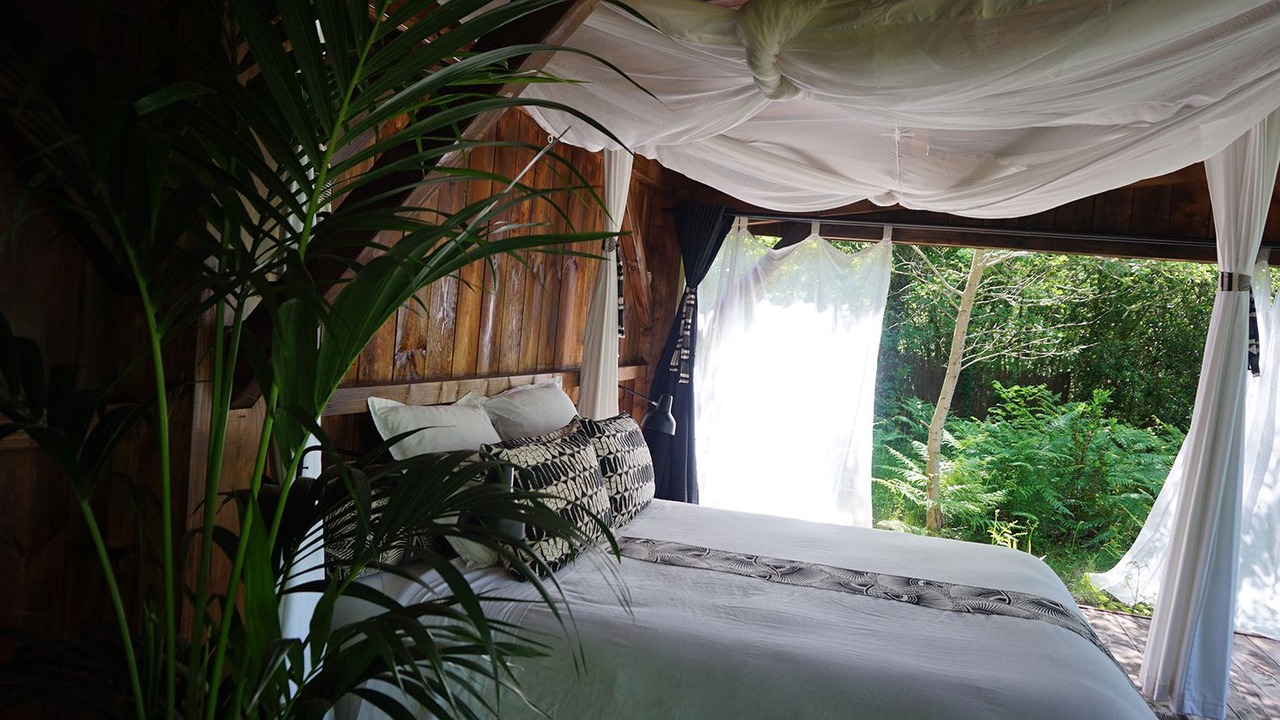 Photo of Others in Origne