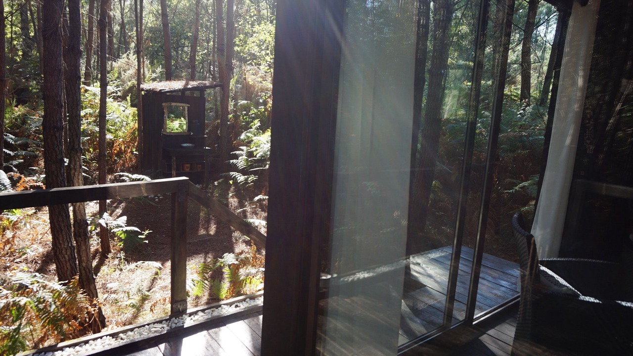 Photo of Others in Origne