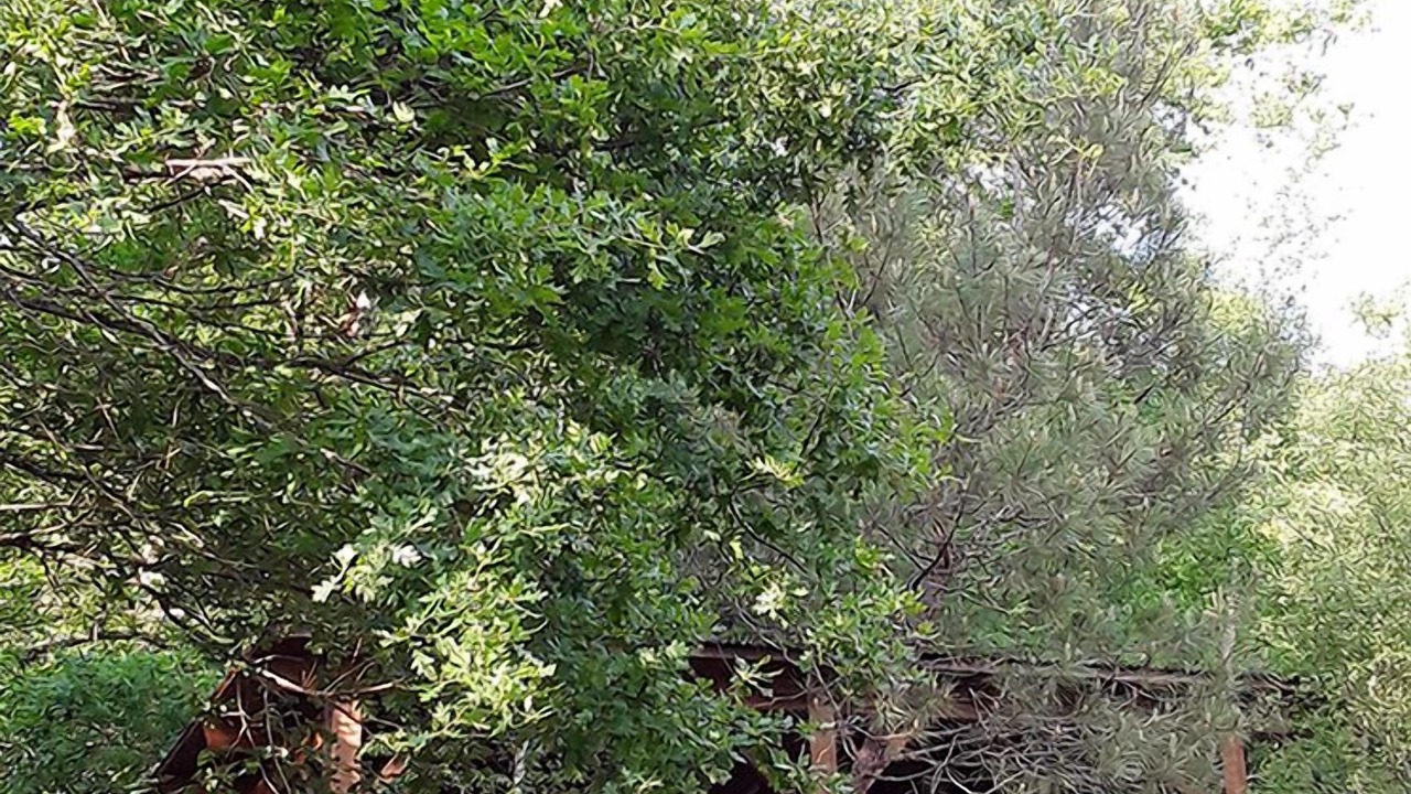 Photo of Outdoor in Origne